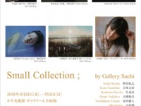 Small Collection 18 チラシ-1