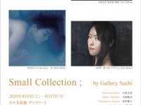 Small Collection 2020チラシ-1