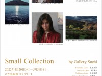 Small Collection 22  リーフレット-1